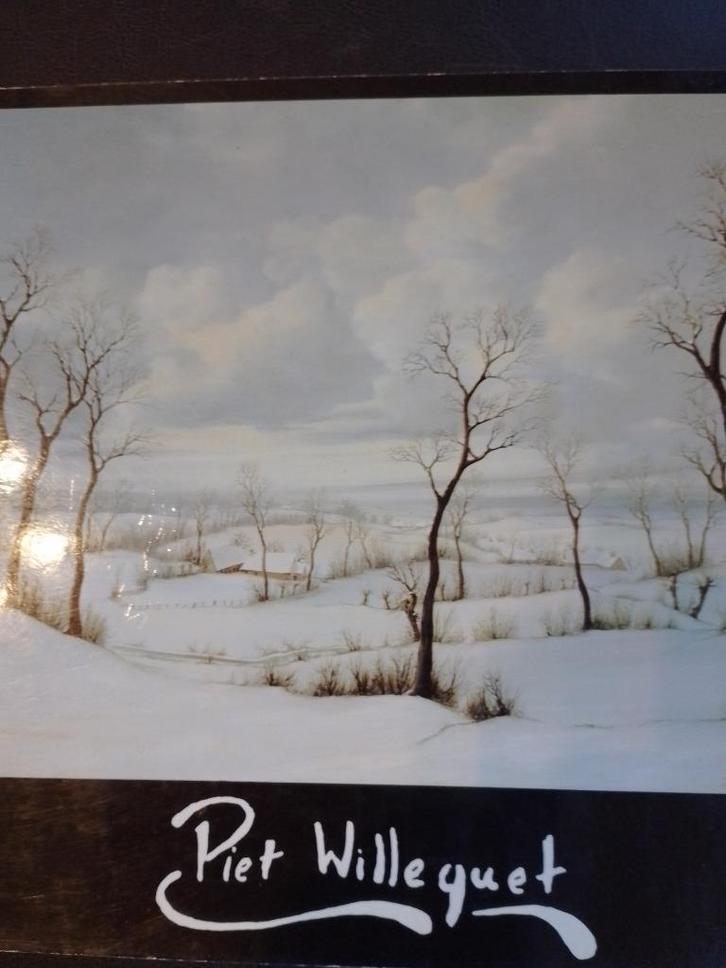 Piet Willequet  1  Monografie, Boeken, Kunst en Cultuur | Beeldend, Nieuw, Schilder- en Tekenkunst, Verzenden