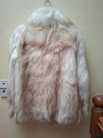 Vestes de fête, Enlèvement