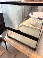 Vivarium, Animaux & Accessoires, Enlèvement, Utilisé