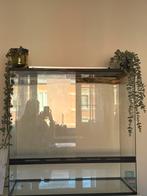 Terrarium 38x78x78, Dieren en Toebehoren, Reptielen en Amfibieën | Toebehoren, Ophalen, Gebruikt, Terrarium of Paludarium