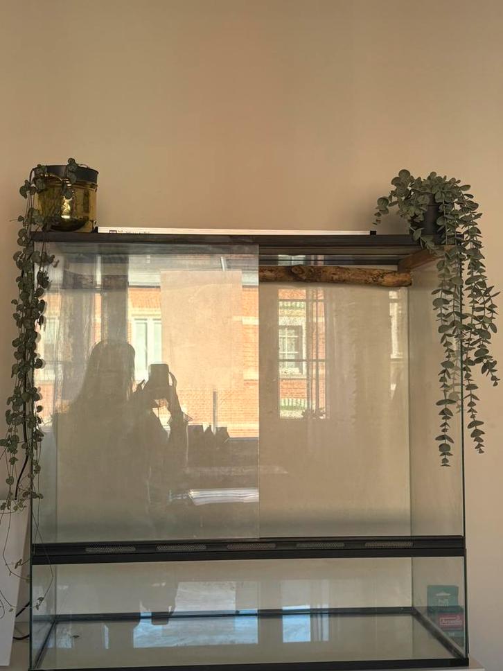 Terrarium 38x78x78, Dieren en Toebehoren, Reptielen en Amfibieën | Toebehoren, Gebruikt, Terrarium of Paludarium, Ophalen