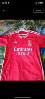 Nieuw Benfica voetbal shirt, Enlèvement ou Envoi, Neuf