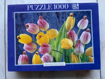 Puzzel Educa – Anne Geddes 1000st (nr1628a)  beschikbaar voor biedingen