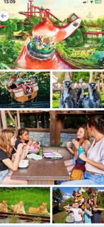 2 tickets Bellewaerde 55€(samen) geldig tot 12/10/25, Tickets en Kaartjes, Recreatie | Pretparken en Attractieparken