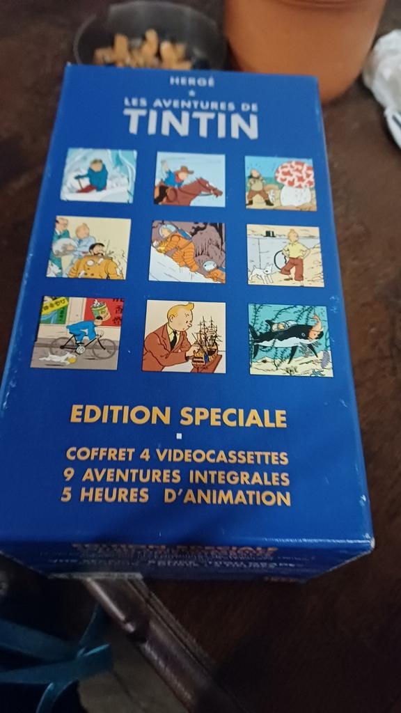 Tintin video's casettes, Enlèvement