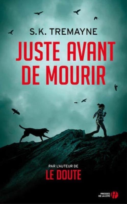 Thriller de S.K. Tremayne, Livres, Thrillers, Utilisé, Belgique, Enlèvement