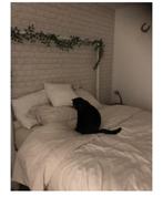 Bed ikea, Huis en Inrichting, Slaapkamer | Bedden, Ophalen, Gebruikt, Wit, Tweepersoons