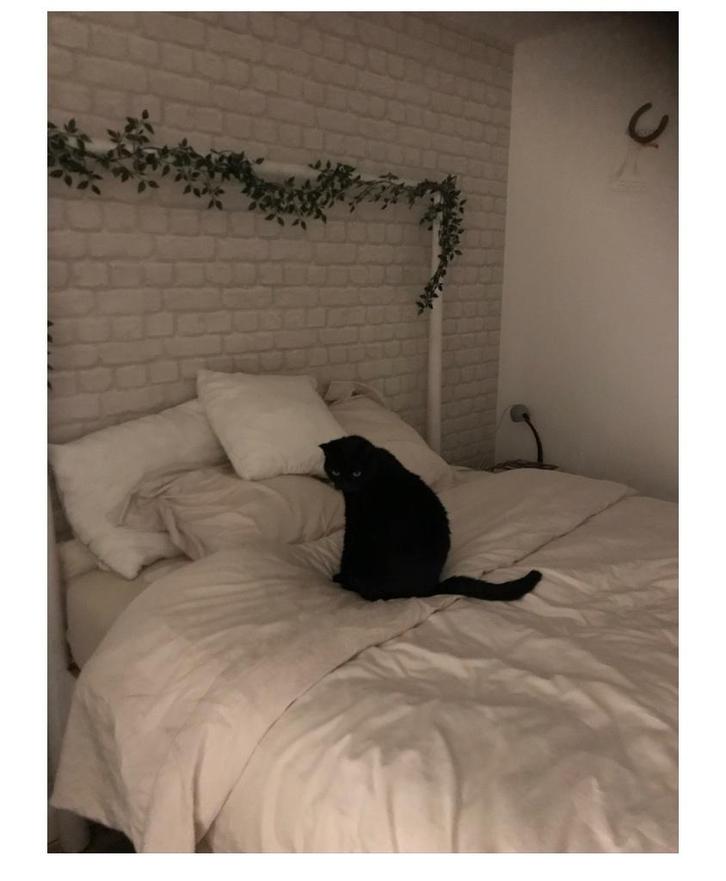 Bed ikea, Huis en Inrichting, Slaapkamer | Bedden, Gebruikt, Tweepersoons, 160 cm, 200 cm, Hout, Wit, Ophalen