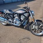 Harley street rod, Motoren, Particulier