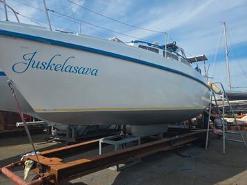 Boot te koop 695 lang 250 breed ales is verniuwd, Enlèvement ou Envoi, Comme neuf