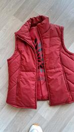 Bodywarmer  mexx  38/40, Kleding | Dames, Ophalen of Verzenden, Zo goed als nieuw