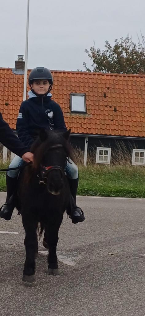 Grote  maat shetlander merrie kinderpony, Dieren en Toebehoren, Paarden, Merrie, Zadelmak, Minder dan 160 cm, 11 jaar of ouder