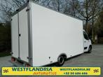 nouveau transporteur de volume LowLiner XL, Autos, Camionnettes & Utilitaires, Cuir, Achat, Blanc, Fiat