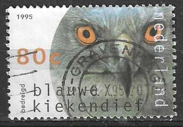 Nederland 1995 - Yvert 1514 - Roofvogels (ST)