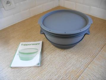 Grijze magnetron van Tupperware (stacaravan - kot ). OOO beschikbaar voor biedingen