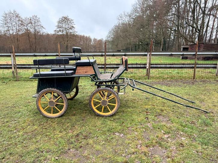 Enkelspan koets, Dieren en Toebehoren, Rijtuigen en Koetsen, Gebruikt, Overige typen, Paard of Pony