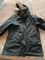 Winterjas Jack Wolfskin, Kleding | Dames, Ophalen of Verzenden, Zo goed als nieuw, Maat 42/44 (L)
