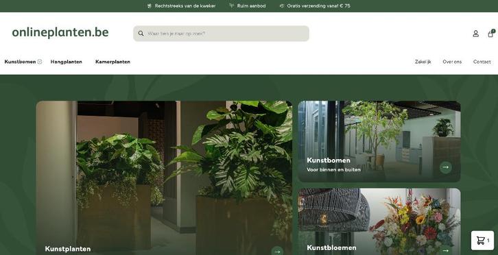 Webshop in planten te koop, Articles professionnels, Exploitations & Reprises