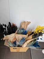Pakket droogbloemen verschillende kleuren en soorten, Ophalen, Nieuw