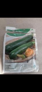 Courgette plantjes Black Beauty, Ophalen