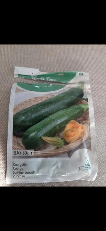 Courgette plantjes Black Beauty  beschikbaar voor biedingen