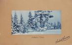 FRANKRIJK - Wenskaart - Solitude d'Hiver, Verzenden, Gelopen, Natuur