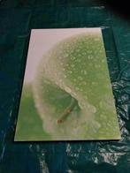 wanddecoratie jline, Enlèvement, Comme neuf