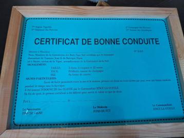 Diplôme humoristique personnalisé avec cadre beschikbaar voor biedingen