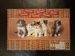 Puzzel met katten, Ophalen, 500 t/m 1500 stukjes, Gebruikt, Legpuzzel