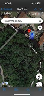 Gratis 35kuub populierenhout. Moet wel nog gekapt worden, Hobby en Vrije tijd, Overige Hobby en Vrije tijd, Ophalen