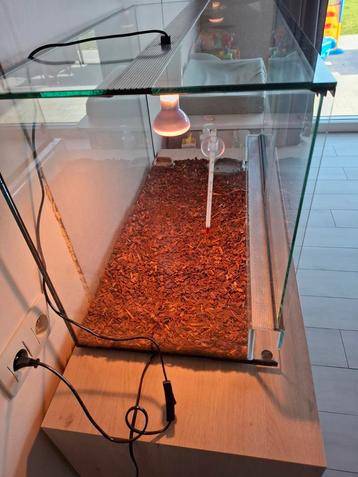 Terrarium  beschikbaar voor biedingen