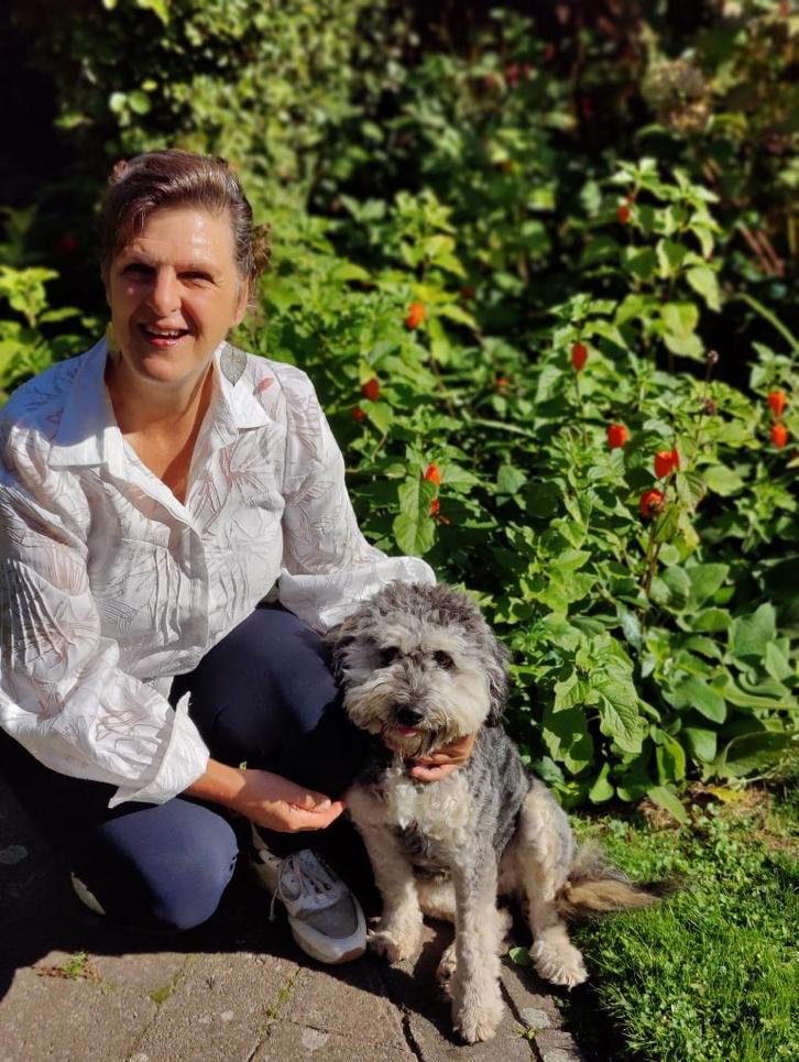 Massagedans+ massage met oergevoel, Sport en Fitness, Dansen, Nieuw, Overige typen, Ophalen of Verzenden