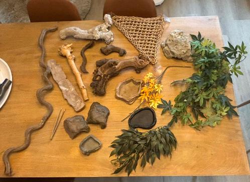 Allerlei terrarium inrichting, Dieren en Toebehoren, Reptielen en Amfibieën | Toebehoren, Zo goed als nieuw, Ophalen