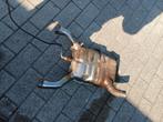 Catalisator voor bmw r1150 gs, Ophalen, BMW