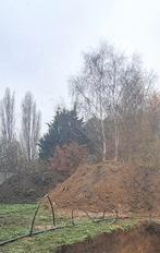 Gratis grond, Tuin en Terras, Aarde en Mest, Ophalen, Tuinaarde