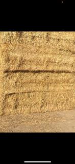 Paille, Zakelijke goederen, Landbouw | Veevoer, Ophalen of Verzenden