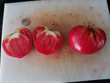 vroege grote tomaat German Red Strawberry - 5 zaden beschikbaar voor biedingen