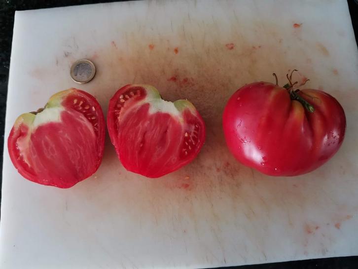 vroege grote tomaat German Red Strawberry - 5 zaden, Tuin en Terras, Bloembollen en Zaden, Zaad, Voorjaar, Verzenden