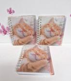 🧡 3 carnets « neufs » 🐈, Enlèvement ou Envoi, Neuf
