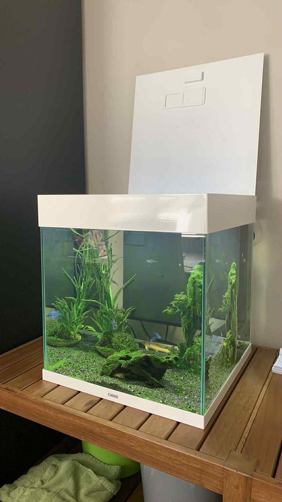 Aquarium te koop.merk:ciano emotions pro 40, Dieren en Toebehoren, Vissen | Aquaria en Toebehoren, Zo goed als nieuw, Ophalen