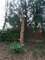 brandHOUT BOOM, Tuin en Terras, Ophalen, Nieuw
