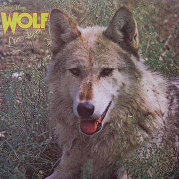 DARRYL WAY'S WOLF - CANIS LUPUS beschikbaar voor biedingen