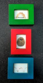 Kleine fotolijstjes (groen, rood, blauw), Ophalen of Verzenden