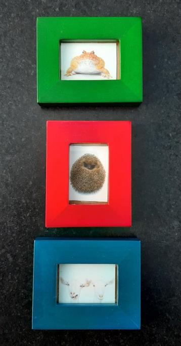 Kleine fotolijstjes (groen, rood, blauw) beschikbaar voor biedingen