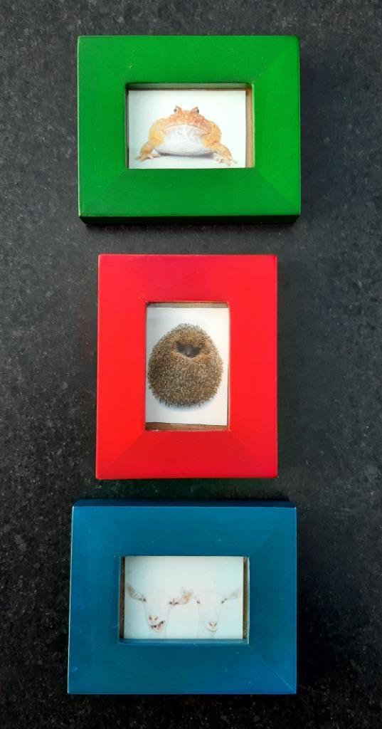 Kleine fotolijstjes (groen, rood, blauw), Audio, Tv en Foto, Fotografie | Fotolijsten, Ophalen of Verzenden