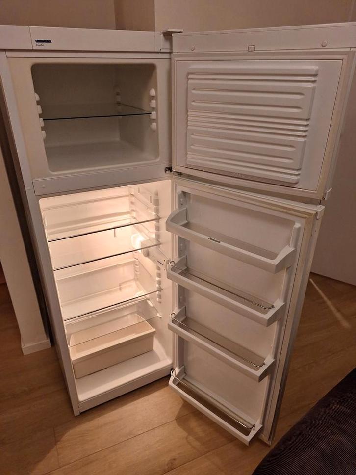 Liebherr Réfrigérateur-congélateur combi 269l/157cm, Electroménager, Réfrigérateurs & Frigos, Enlèvement