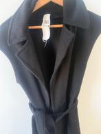 Jas dales, Kleding | Dames, Jassen | Winter, Maat 38/40 (M), Ophalen of Verzenden, Gedragen, Zara