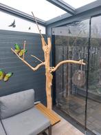 Javaboom Koffieboom nieuw ( Eindhoven), Dieren en Toebehoren, Ophalen, Nieuw, Speelgoed