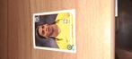 Ronaldinho panini Zuid Afrika 2010, Ophalen of Verzenden