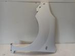 SPATBORD LINKS VOOR Renault Kangoo Express (FW) (01-2008/-), Gebruikt, Links, Renault, Spatbord